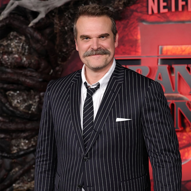 David Harbour Details "Intense" Treatment Amid Mental Health Journey
